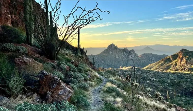 Arizona Trail - zpět na divokém západě